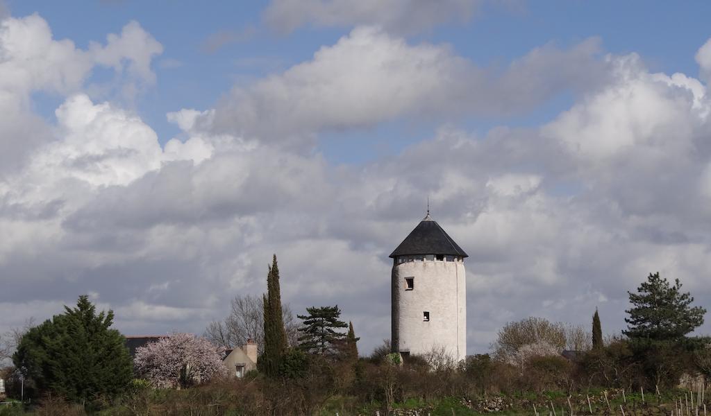 Au Moulin Geant Rochefort-sur-Loire Exterior foto